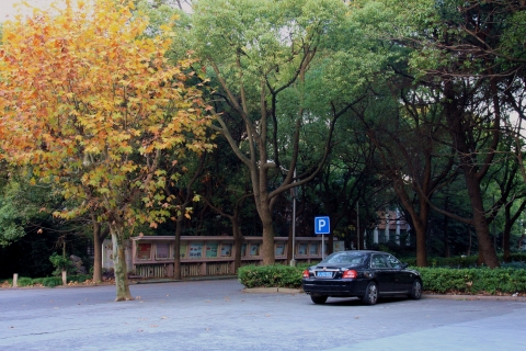 伟德betvictor
