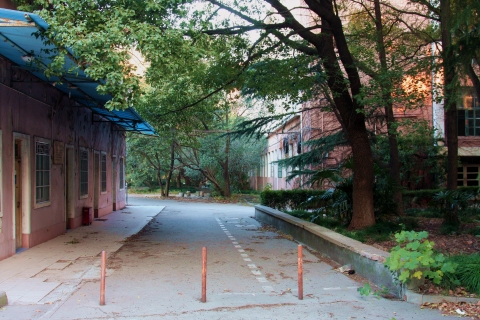 伟德betvictor