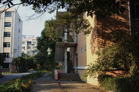 伟德betvictor