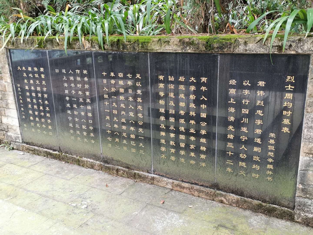 伟德betvictor
