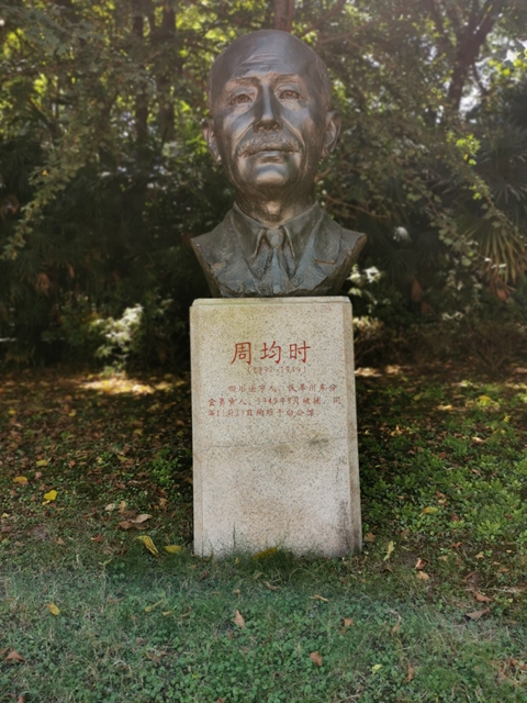 伟德betvictor
