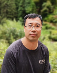 伟德betvictor