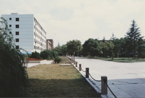 伟德betvictor
