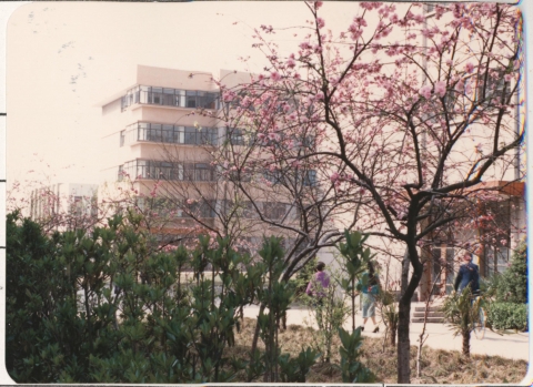 伟德betvictor