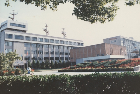 伟德betvictor