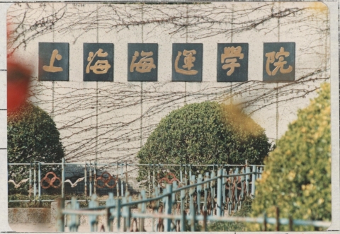 伟德betvictor