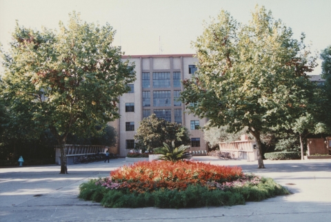 伟德betvictor
